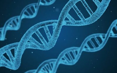 Faire un test ADN : tout ce qu’il faut savoir avant de vous lancer