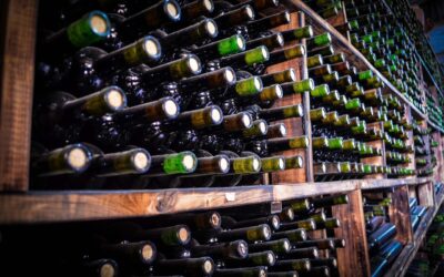 Cave a vin : Les 7 notions à savoir si vous voulez stocker du vin